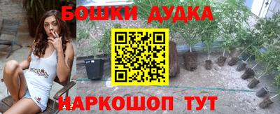 индика Краснокаменск