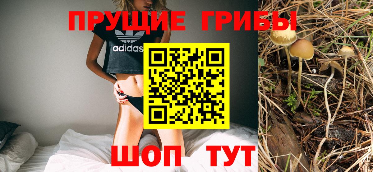 Ишим  Галлюциногенные грибы прущие грибы  Вход с VPN 